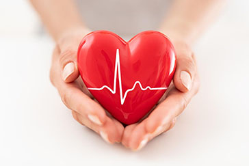 Maintaining a Healthy Heart: Essential Tips for Cardiovascular Wellness
